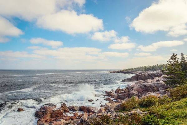 Ocean pobřeží — Stock fotografie