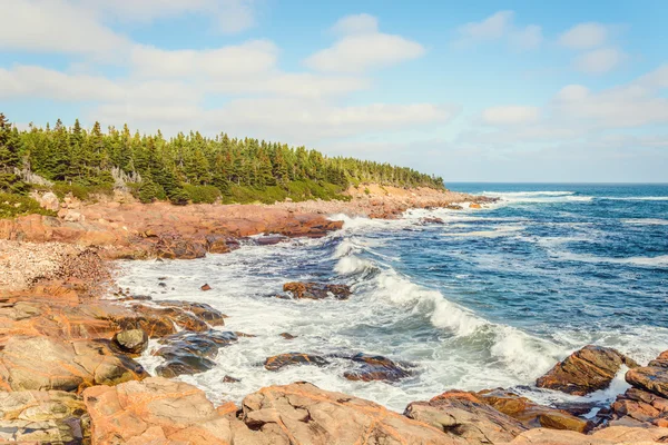 Ocean coast — Stock Photo, Image