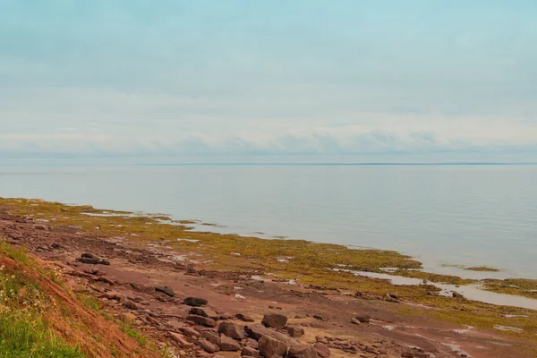 Rote Sandküste in der Nähe des Leuchtturms — Stockfoto