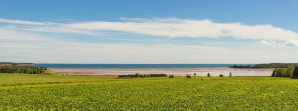 Panoramablick von der Rollo Bay Stockfoto
