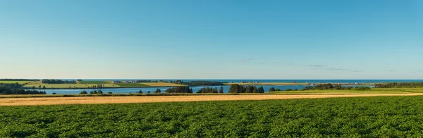 Panorama of scenic view of Point East Coastal Drive — Stock Photo, Image