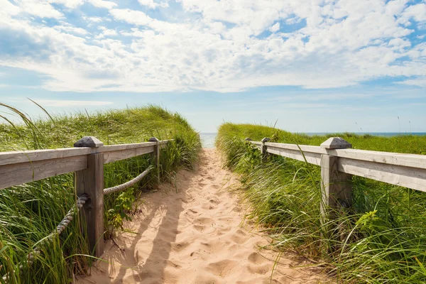 Weg zum Strand am Beckenkopf lizenzfreie Stockbilder