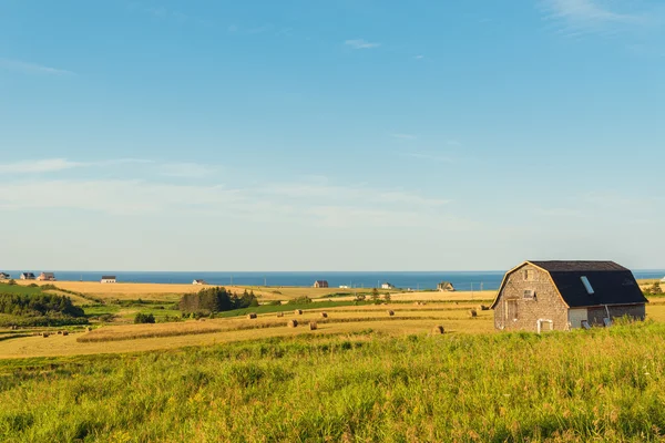 PEI rural scene — Stock Photo, Image