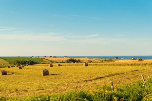 Pei landsbygdens scen — Stockfoto