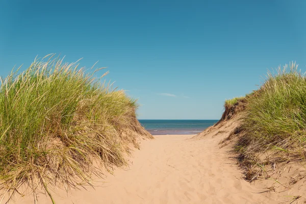 Weg zum Strand an der St.-Peter-Bucht am Nordufer Stockfoto