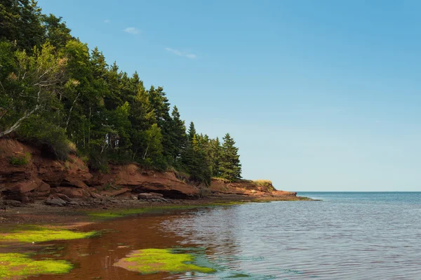 Beach at Belmont Provincial Park — Stock Photo, Image