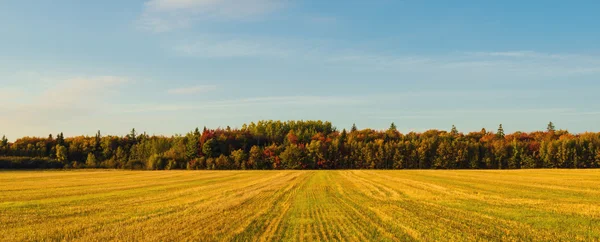 Панорама сельской местности PEI осенью — стоковое фото