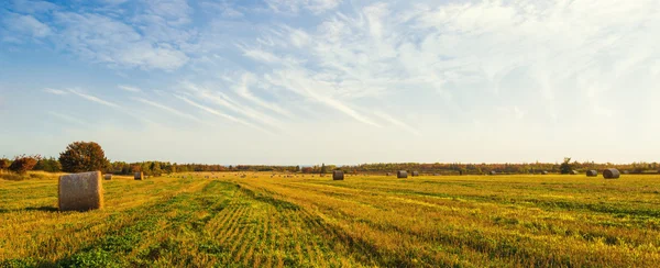 Panorama of scenic view of hay stacks at fall — Stock Photo, Image