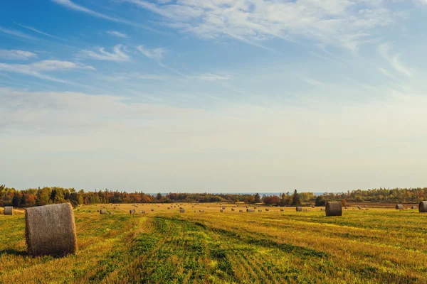 Scenic view of hay stacks at fall — Stock Photo, Image