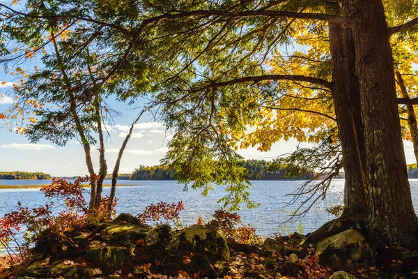 Shore of Kejimkujik lake in fall from Jeremy Bay Campground — Stock Photo, Image