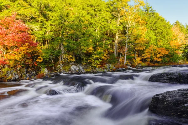 Mill Falls ao longo do rio Mersey no outono (Kejimkujik National P — Fotografia de Stock