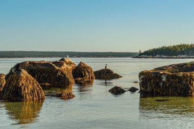 Carters Beach (Nova Scotia, Kanada)