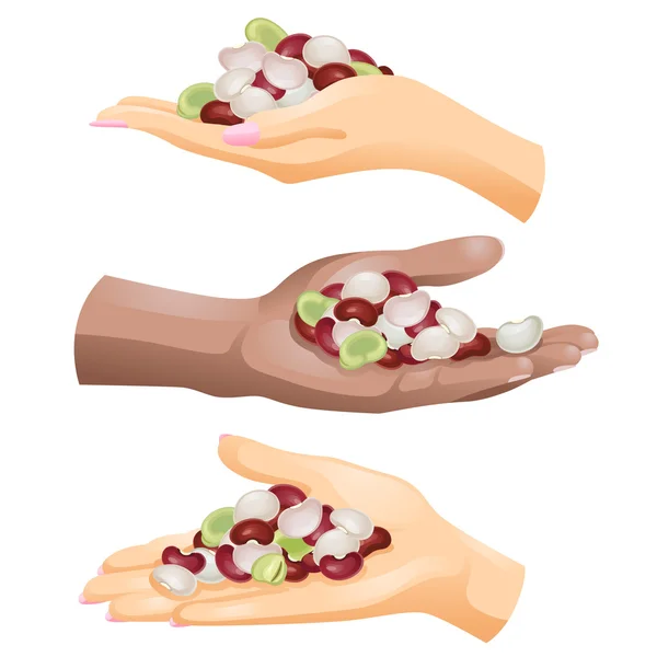 Trois mains avec des haricots différents en eux sur fond blanc — Image vectorielle