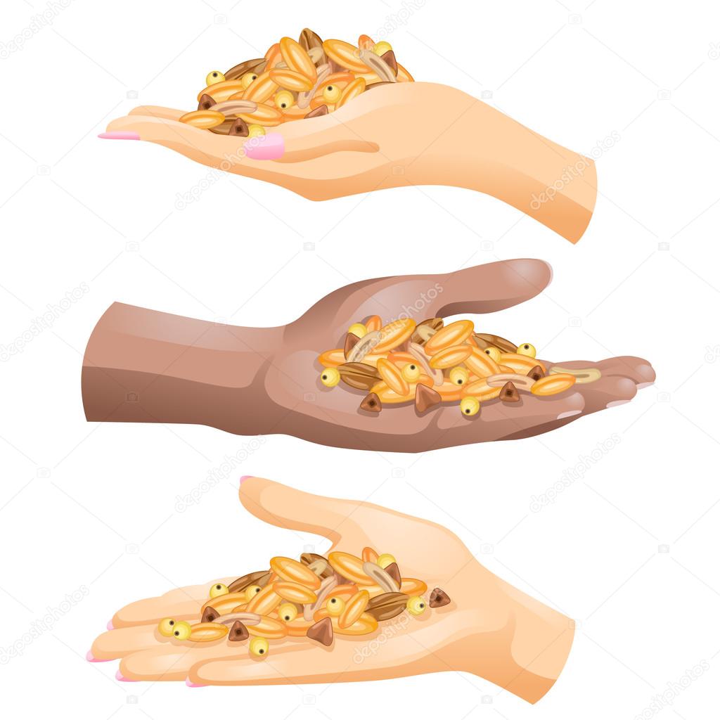 Three hands with different cereals in them on white background