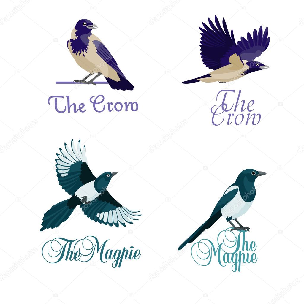 Four concepts of logotype with crows and magpies