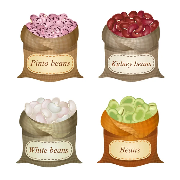 Four untied sacks with beans, peas and labels on them — Stock Vector