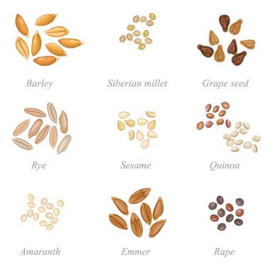Icon set of cereal grains part 2 clipart