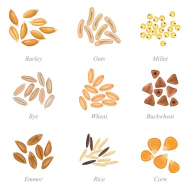 Icon set of cereal grains part 3 clipart