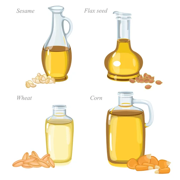 Four glass bottles with oil and oilseeds in front of them. — Stock Vector