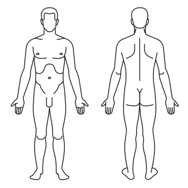 Adam vücut anatomik rehber olarak