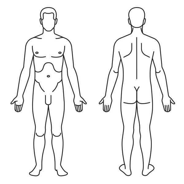 Тело человека как анатомический путеводитель
