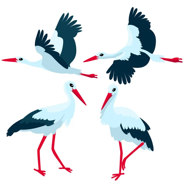 Stork ständiga och flyger på vit bakgrund — Stock vektor