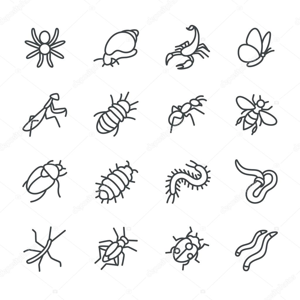 The most popular terrarium insects as line icons