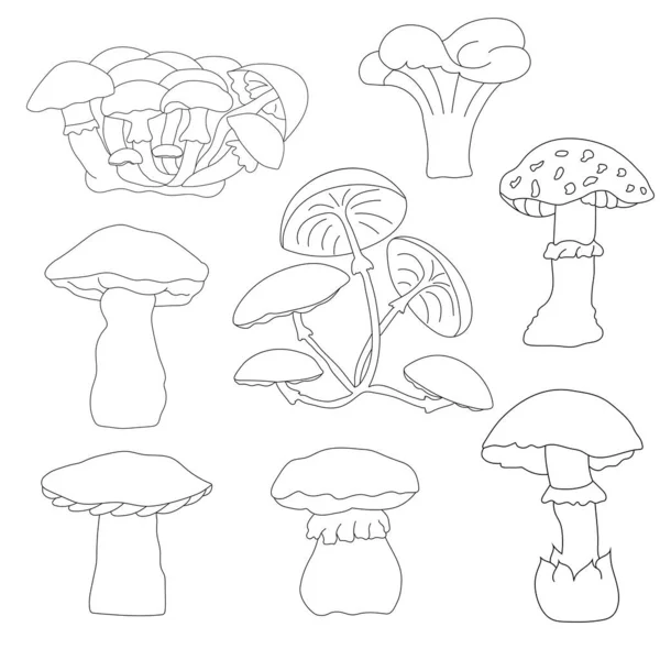 Paddenstoelen. Eetbaar en giftig. — Stockvector