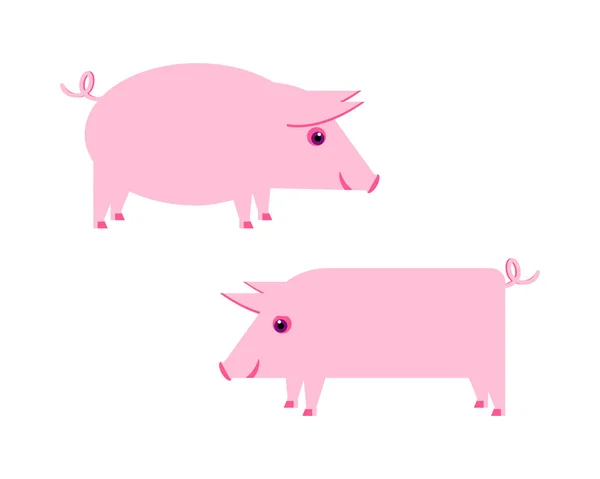 Pembe domuzcuklar. Görüntü.