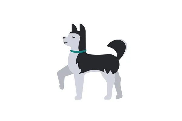 Dog with a collar. Siberian husky .Illustration. — Image vectorielle