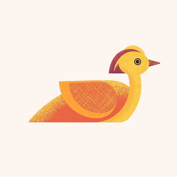 Mandarin duck. Postcard. Illustration. — Stock Vector