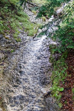 Bulutlu bir sonbahar günü Alplerin eteğindeki bir şatonun yanında.