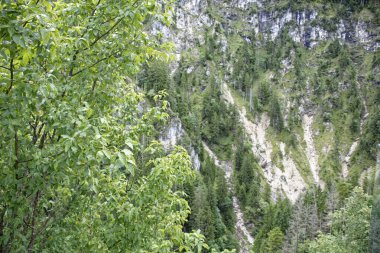 Bulutlu bir sonbahar günü Alplerin eteğindeki bir şatonun yanında.