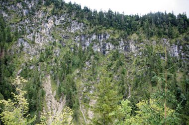 Bulutlu bir sonbahar günü Alplerin eteğindeki bir şatonun yanında.