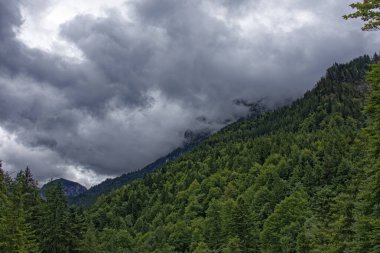 Bulutlu bir sonbahar günü Alplerin eteğindeki bir şatonun yanında.