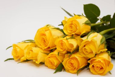 Beyaz Arkaplanda Açık Renkli Güller