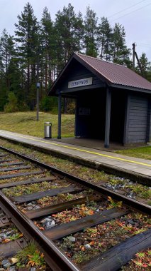 Sessiz demiryolu durağı ervynos ile çevrili çam ormanı bir sonbahar günü. Uzak mesafeye giden boş demiryolu rayları, Litvanya, Druskininkai bölgesi, 11 Ekim 2025, 15: 18