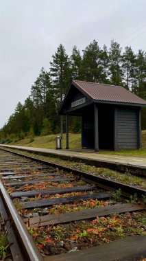 Sessiz demiryolu durağı ervynos ile çevrili çam ormanı bir sonbahar günü. Uzak mesafeye giden boş demiryolu rayları, Litvanya, Druskininkai bölgesi, 11 Ekim 2025, 15: 18