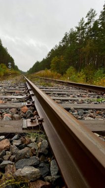 Close-up of railway tracks in a forest, stretching into the distance through lush green trees. Captures nature, tranquility, and the feeling Lithuania, Druskininkai area, 11 October 2025, 15:18