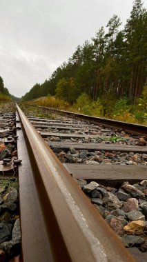 Close-up of railway tracks in a forest, stretching into the distance through lush green trees. Captures nature, tranquility, and the feeling Lithuania, Druskininkai area, 11 October 2025, 15:18