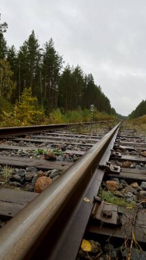 Close-up of railway tracks in a forest, stretching into the distance through lush green trees. Captures nature, tranquility, and the feeling Lithuania, Druskininkai area, 11 October 2025, 15:18