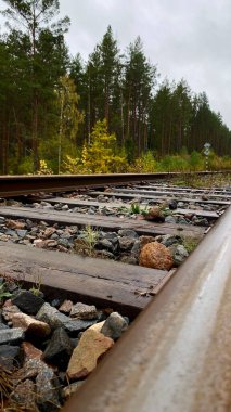 Close-up of railway tracks in a forest, stretching into the distance through lush green trees. Captures nature, tranquility, and the feeling Lithuania, Druskininkai area, 11 October 2025, 15:18