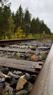 Close-up of railway tracks in a forest, stretching into the distance through lush green trees. Captures nature, tranquility, and the feeling Lithuania, Druskininkai area, 11 October 2025, 15:18