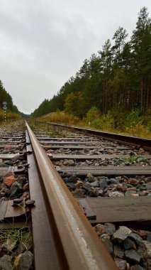 Close-up of railway tracks in a forest, stretching into the distance through lush green trees. Captures nature, tranquility, and the feeling Lithuania, Druskininkai area, 11 October 2025, 15:18