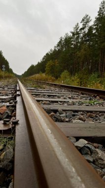 Close-up of railway tracks in a forest, stretching into the distance through lush green trees. Captures nature, tranquility, and the feeling Lithuania, Druskininkai area, 11 October 2025, 15:18