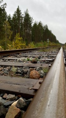 Close-up of railway tracks in a forest, stretching into the distance through lush green trees. Captures nature, tranquility, and the feeling Lithuania, Druskininkai area, 11 October 2025, 15:18