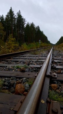 Close-up of railway tracks in a forest, stretching into the distance through lush green trees. Captures nature, tranquility, and the feeling Lithuania, Druskininkai area, 11 October 2025, 15:18