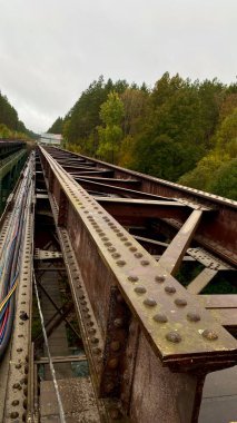 Ormanda demiryolu köprüsü onarımı, demiryolu rayları, ahşap uykucular, demiryolu bakım, inşaat, kereste köprüsü, demiryolu mühendisliği, Litvanya, Druskininkai bölgesi, 11 Ekim 2025, 15: 18