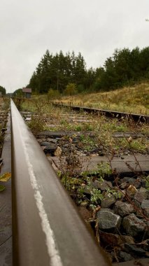 Ormanda demiryolu köprüsü onarımı, demiryolu rayları, ahşap uykucular, demiryolu bakım, inşaat, kereste köprüsü, demiryolu mühendisliği, Litvanya, Druskininkai bölgesi, 11 Ekim 2025, 15: 18