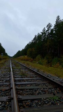 Close-up of railway tracks in a forest, stretching into the distance through lush green trees. Captures nature, tranquility, and the feeling Lithuania, Druskininkai area, 11 October 2025, 15:18